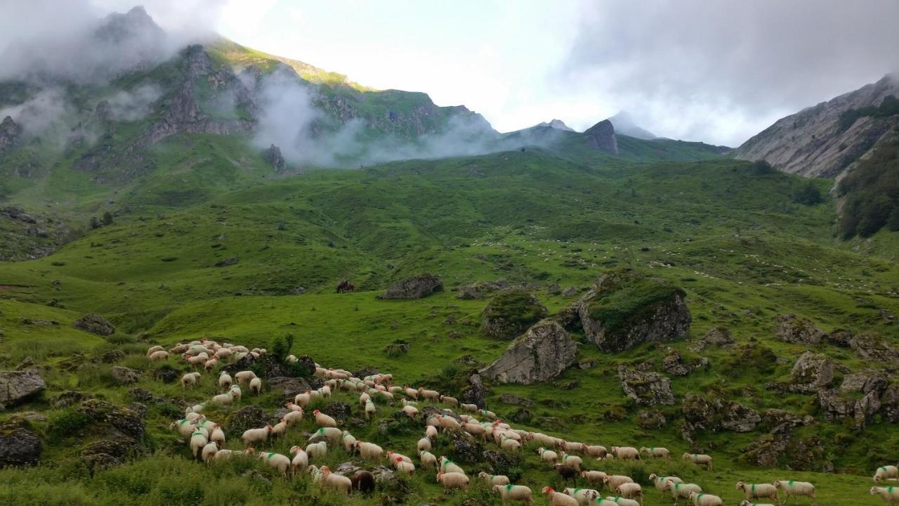 Gite De Montagne Du Plateau De Lhers- Accueil Randonneurs Accous Dış mekan fotoğraf