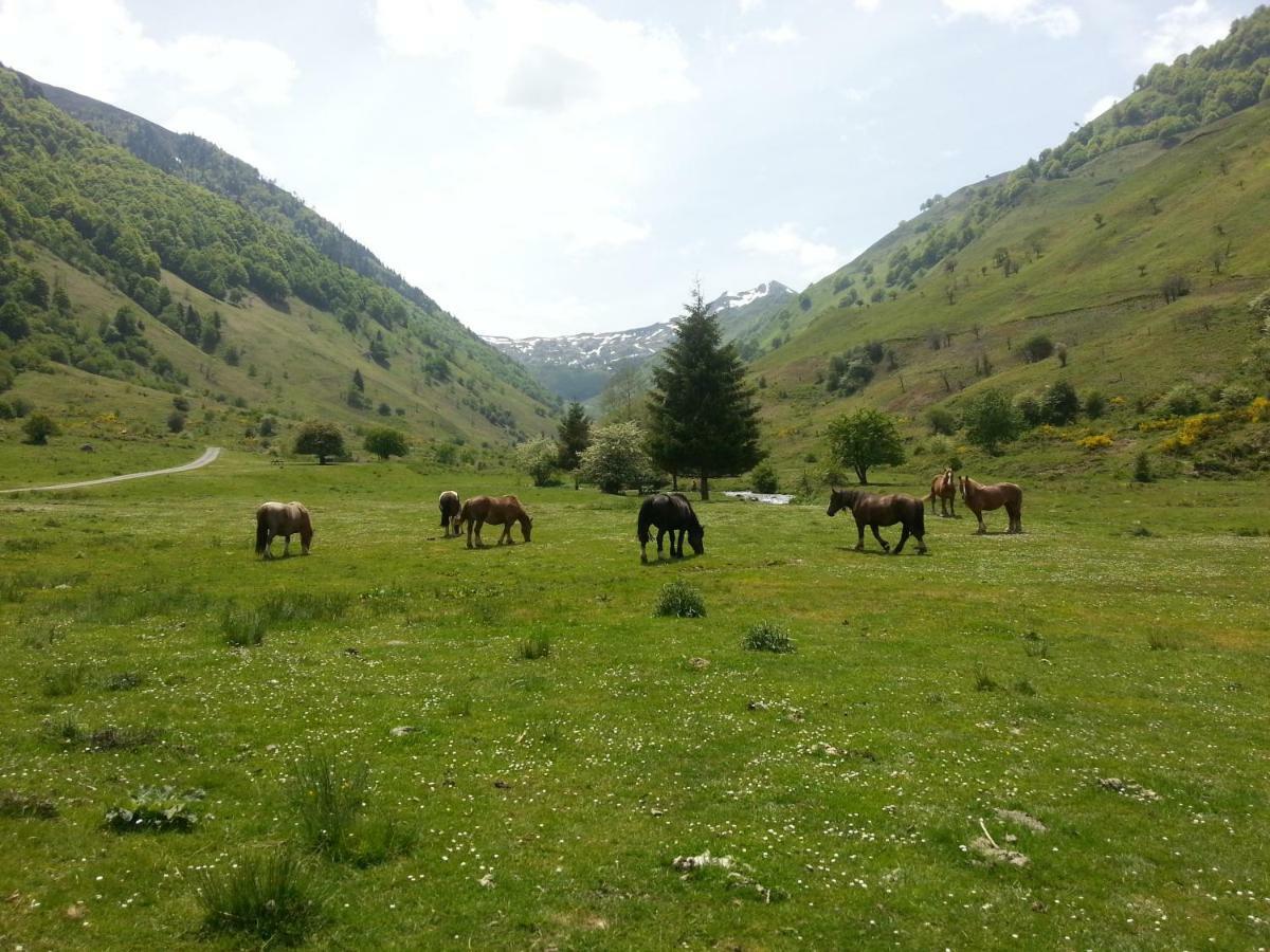 Gite De Montagne Du Plateau De Lhers- Accueil Randonneurs Accous Dış mekan fotoğraf