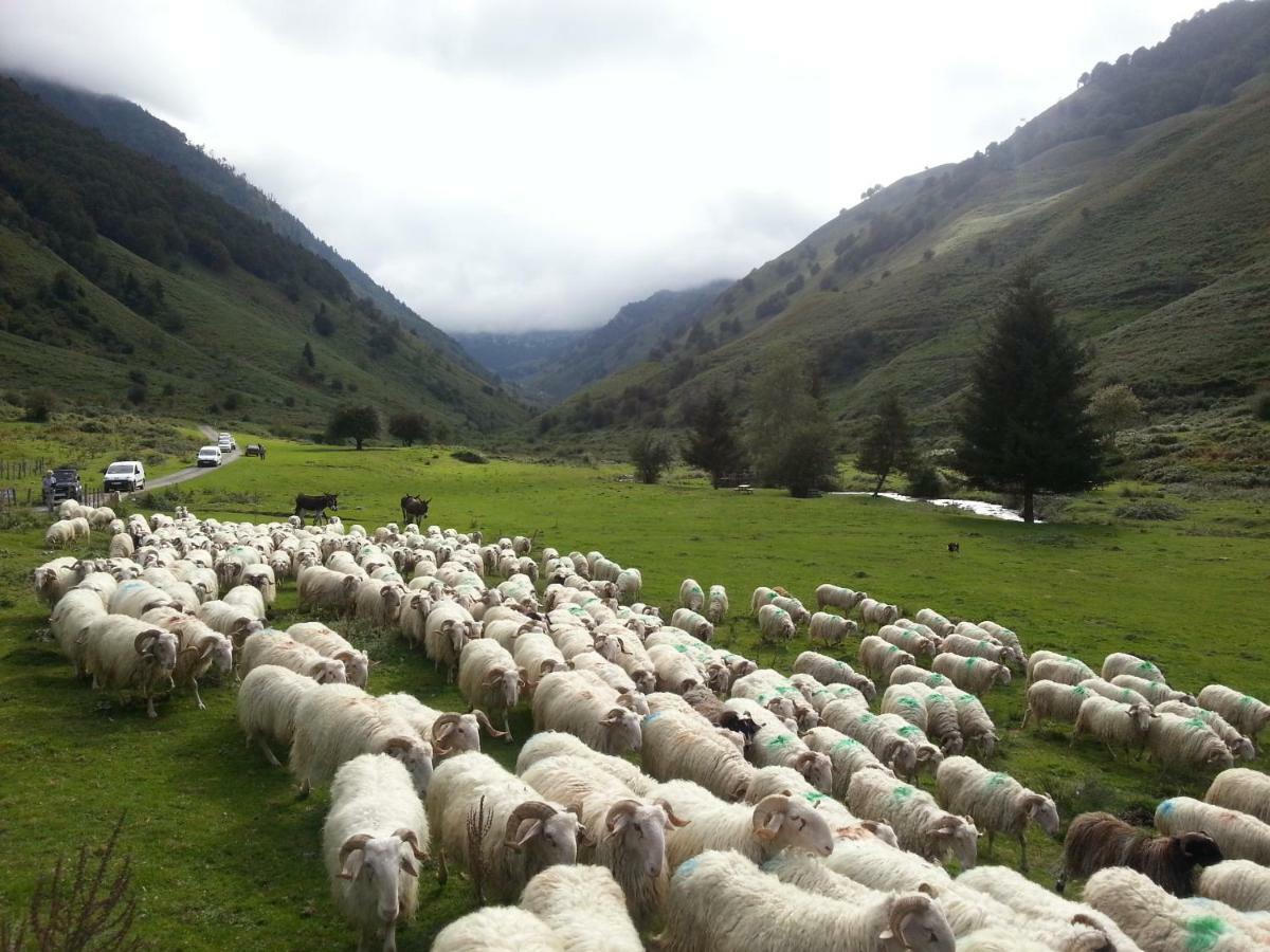 Gite De Montagne Du Plateau De Lhers- Accueil Randonneurs Accous Dış mekan fotoğraf