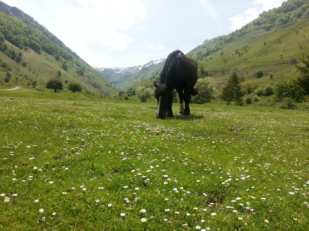 Gite De Montagne Du Plateau De Lhers- Accueil Randonneurs Accous Dış mekan fotoğraf